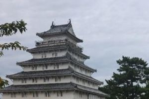 城